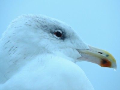 DSCN3406.JPG