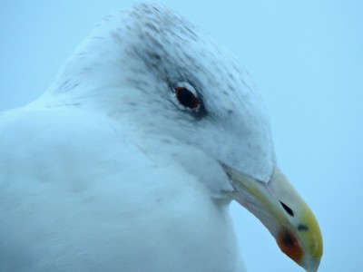 DSCN3412.JPG