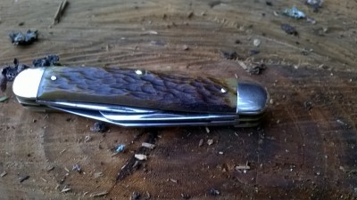 WP_20190221_053.jpg