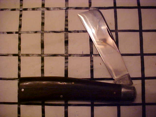 SchradeWalden163RopeKnife.JPG