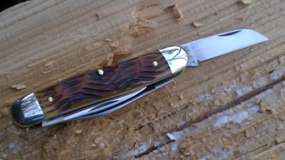 WP_20190221_092.jpg