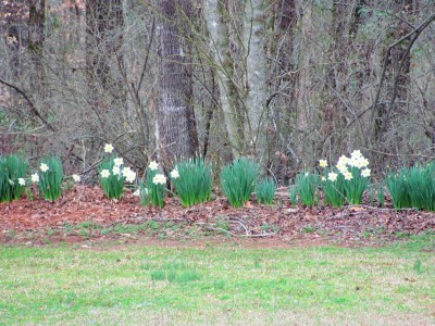 IMG_3133 (2).JPG
