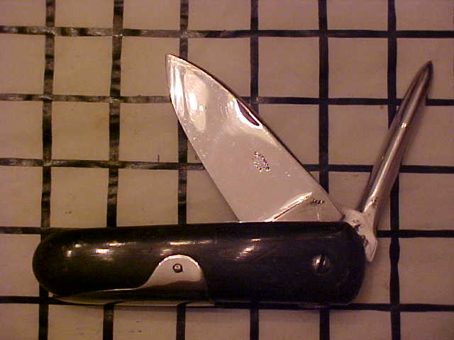 ERenaud1.JPG