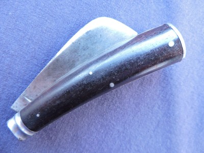DSCN0979.JPG