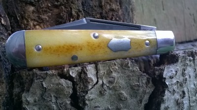 WP_20190224_037.jpg