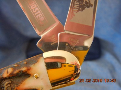 DSCN0517.JPG