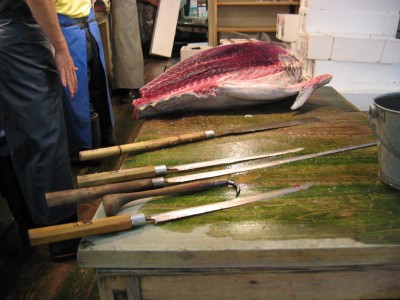 Tuna-1.jpg