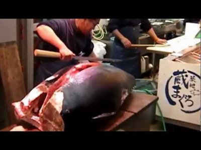 Tuna-2.jpg