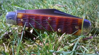 WP_20190226_042.jpg