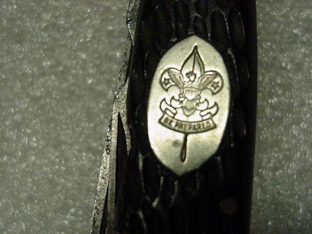 N.Y. boy scout Shield