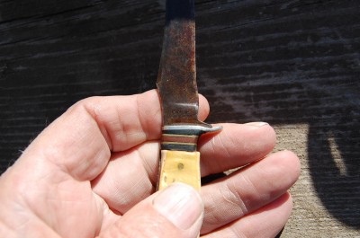 DSC_2215.JPG