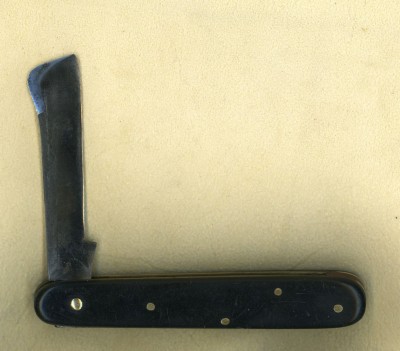 Hugo Koller c.jpg