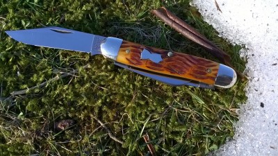 WP_20190228_141.jpg