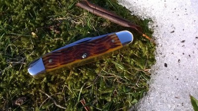 WP_20190228_143.jpg