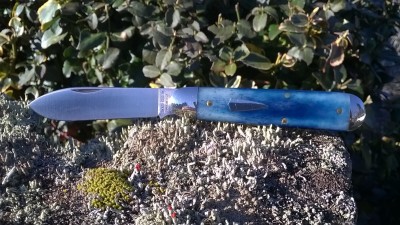 WP_20190304_028.jpg