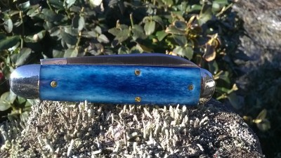 WP_20190304_032.jpg