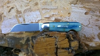 WP_20190306_025.jpg