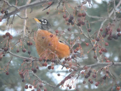 DSCN0645.JPG