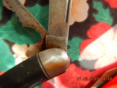 DSCN0713.JPG