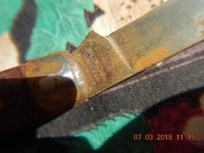 DSCN0716.JPG