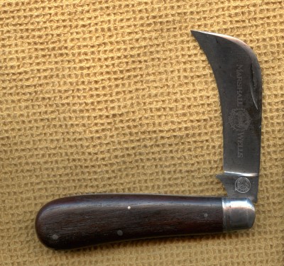 Marshall Wells hawkbill.jpg