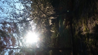 20190307_075533.jpg