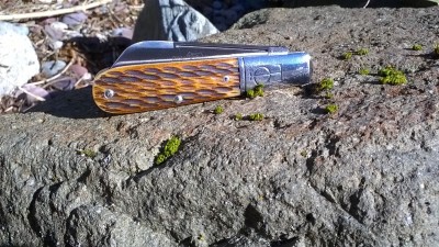 WP_20190129_014.jpg