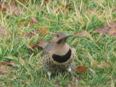 IMG_6794.JPG