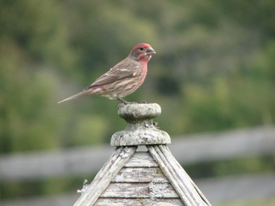 IMG_6769.JPG