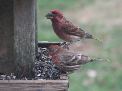 IMG_6834.JPG