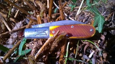 WP_20190310_011.jpg