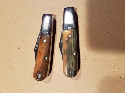 Petrified Wildebeest Barlows.jpg