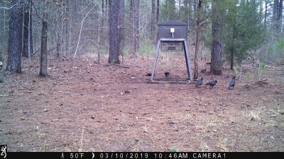 IMG_0078.JPG