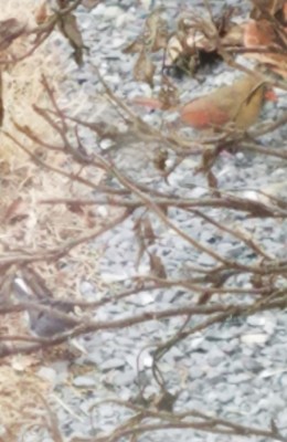 20181208_102320.jpg