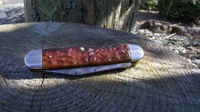 WP_20190310_041.jpg