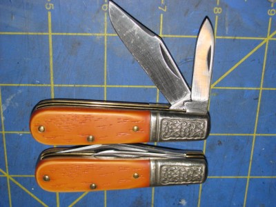 Schrade2016Barlow2017-1.jpg