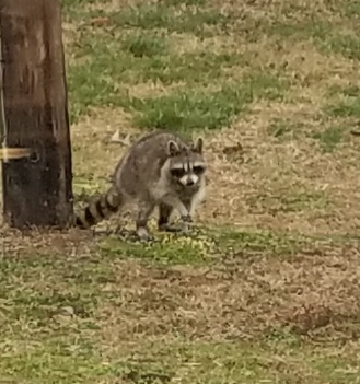 20190308_093830.jpg