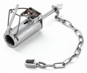 Raccoon pipe trap