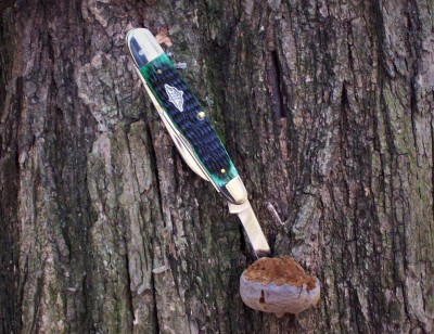 Case Cigar Whittler Up A Tree.JPG