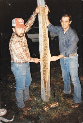 Scan0004.jpg