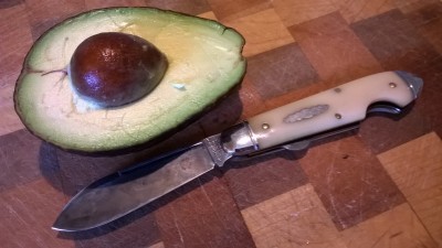 WP_20190315_006.jpg