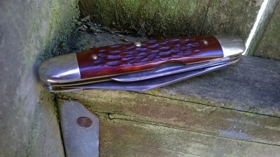 WP_20190316_035.jpg