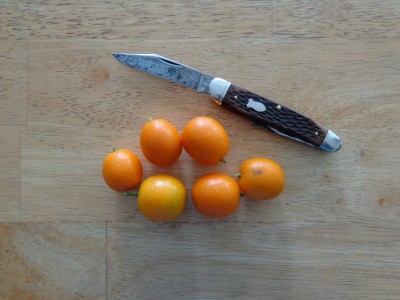 Kumquats and Schrade