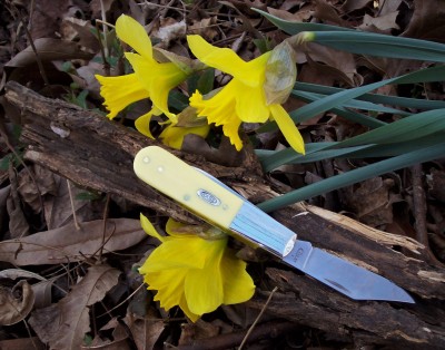 Looks like spring on the trail LL.JPG