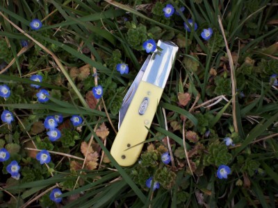 Looks like spring on the trail L.JPG