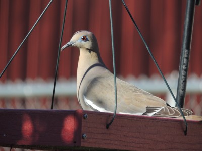 DSCN5477.JPG