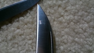 WP_20190320_012.jpg