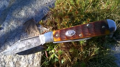 WP_20190318_025.jpg