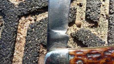 20190320_150634.jpg