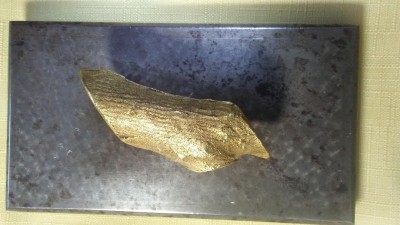 20190321_144736.jpg